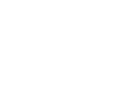 HOLL-Icons-03-White CE Icon
